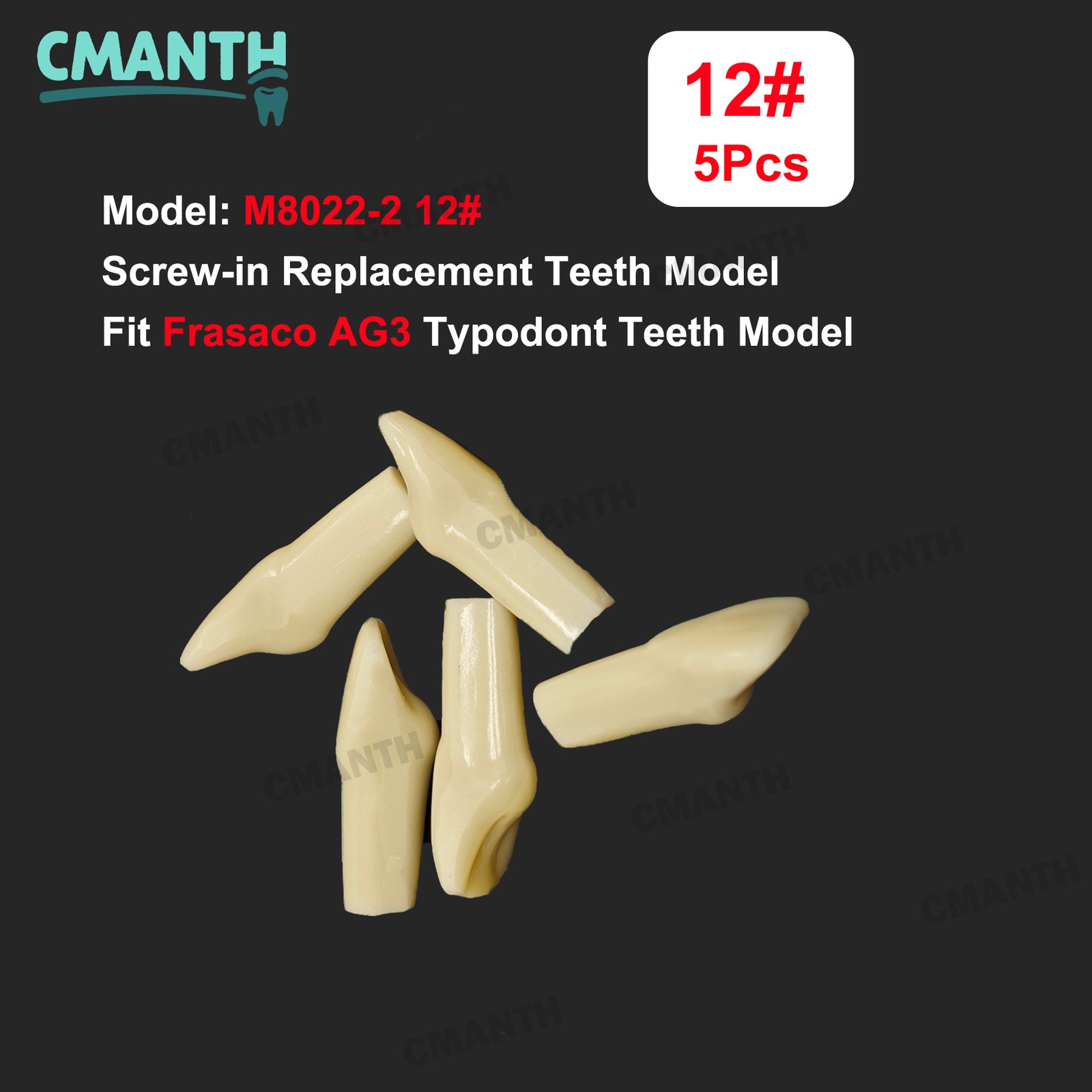 Fit Frasaco AG3 Typodont Dental Teeth Model Full teeth 32Pcs Screw-in Practice