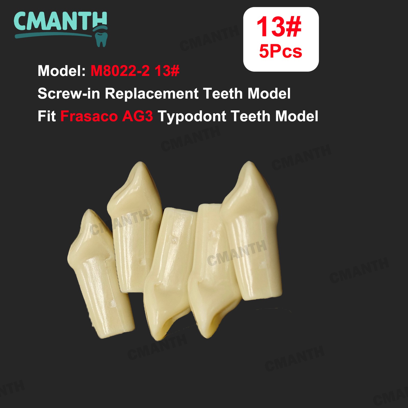 Fit Frasaco AG3 Typodont Dental Teeth Model Full teeth 32Pcs Screw-in Practice