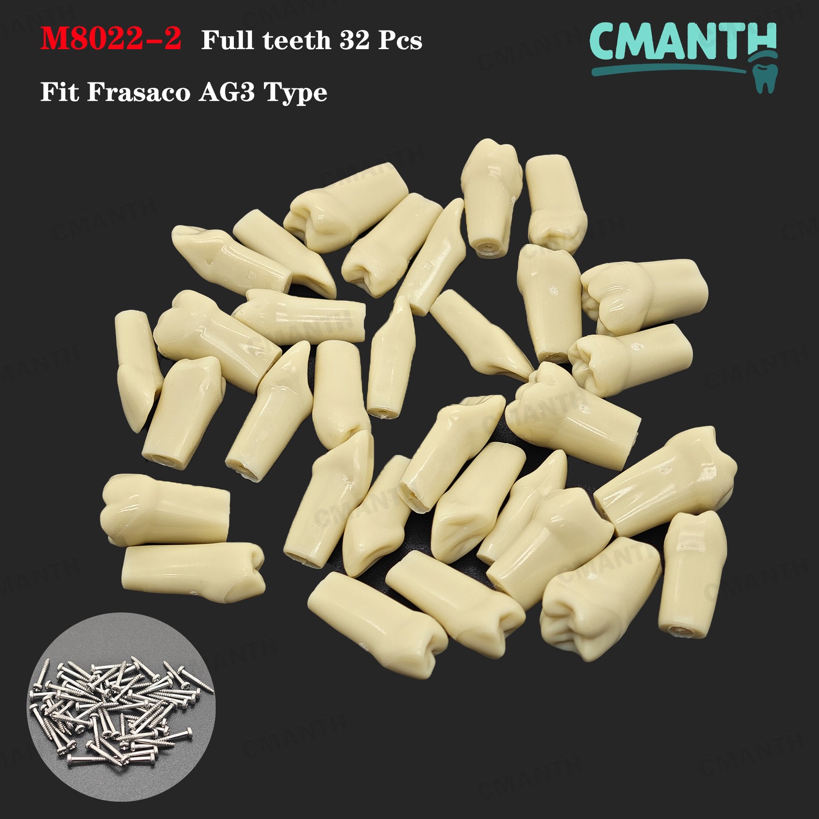 Dental Teeth Model Full Teeth Screw-in Practice Demo Fit Frasaco AG3 Type 10Pcs
